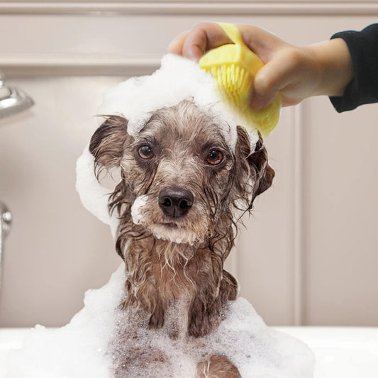 Silicone Pet Grooming Fur Brush- Gentle, Effective Deshedding & Massage Tool
